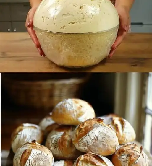 A Timeless Bread Recipe: Grandma’s Flour, Water, and Milk Mix