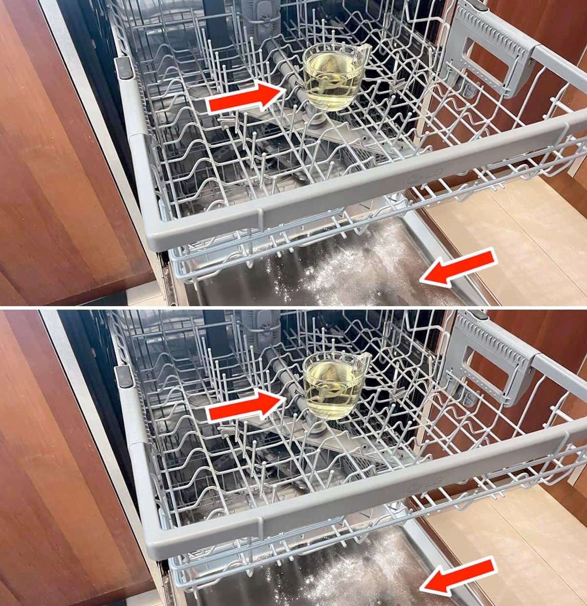 How to degrease, disinfect and perfume the dishwasher with the glass method