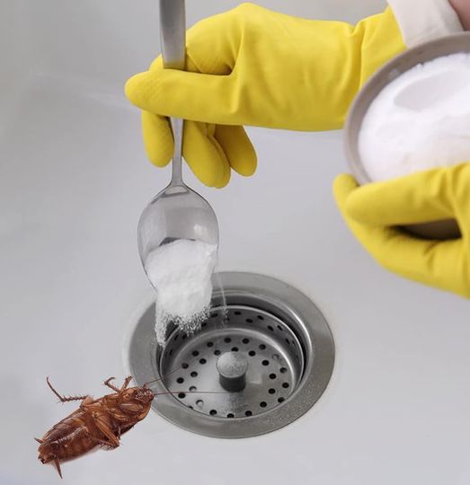 Eliminate cockroaches forever: the easy method to release the sink