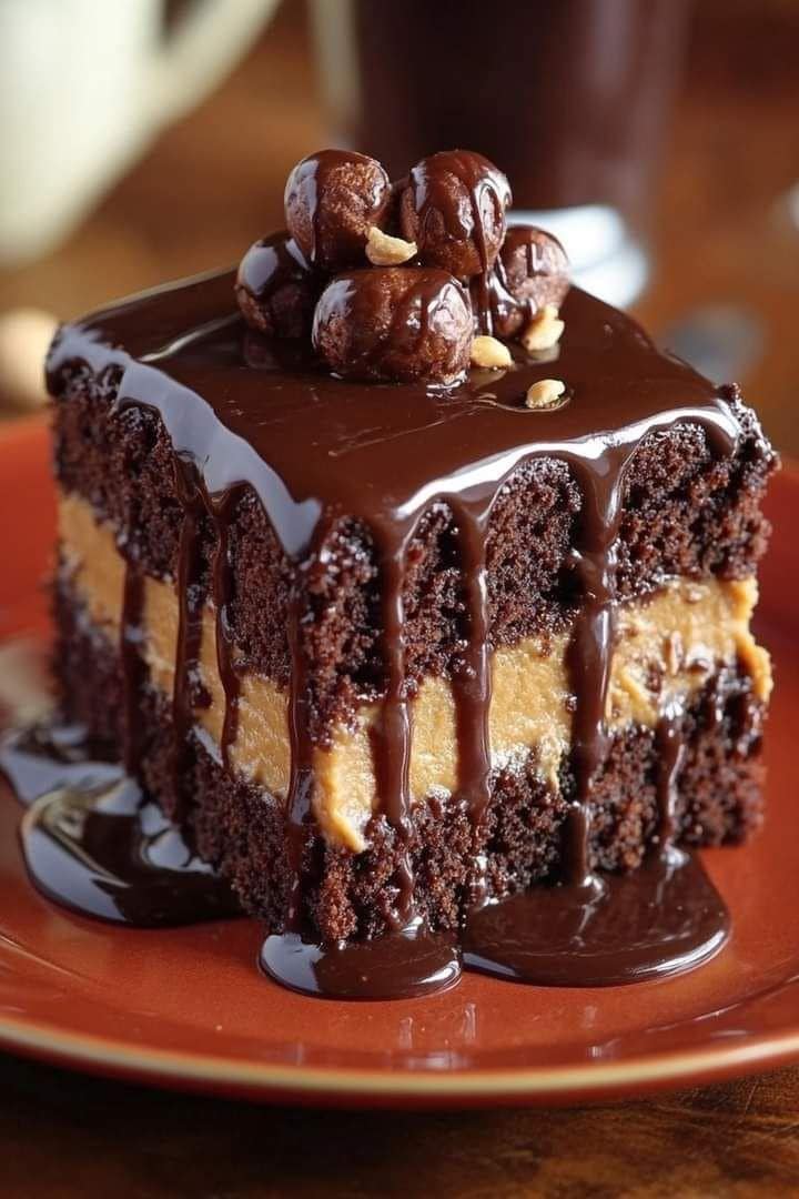 Chocolate Peanut Butter Ooey Gooey Cake