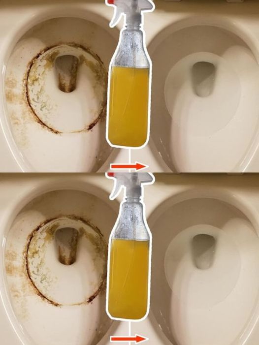 Super clean toilets: remove yellow stains and limescale, disinfect them and perfume them with 1 ingredient