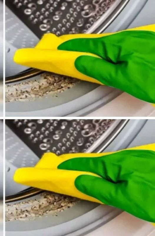 The trick to cleaning the inside of your washing machine and avoiding paying a high electricity bill