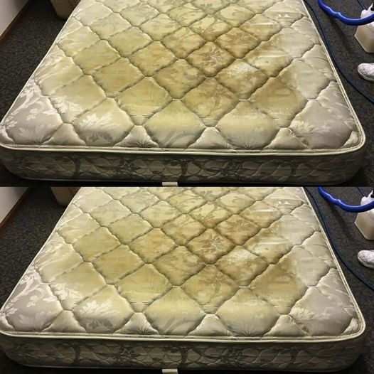 This is what can be found in your mattress: If you were aware, you would always keep it clean.