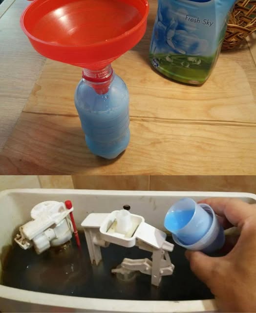 Because I pour fabric softener into the toilet tank: a trick from an Italian aunt